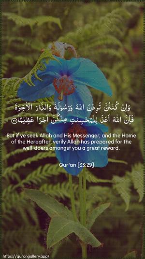 Al-Ahzaab Ayah 29 - Arabic + English wallpaper