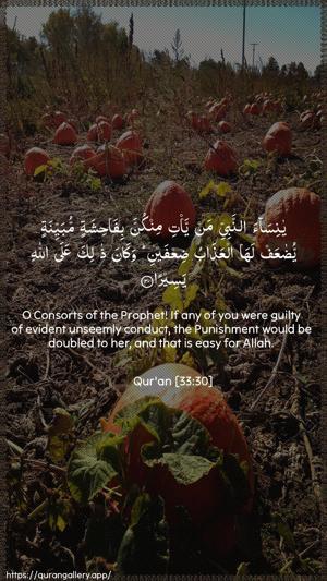 Al-Ahzaab Ayah 30 - Arabic + English wallpaper