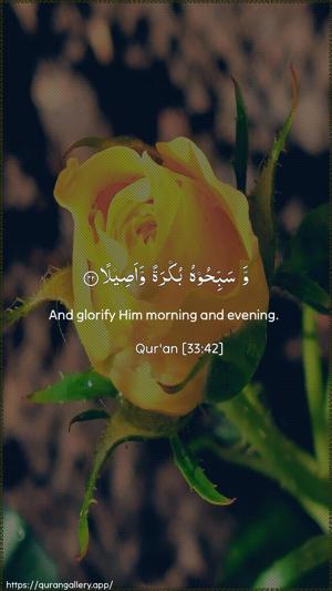Al-Ahzaab Ayah 42 - Arabic + English wallpaper