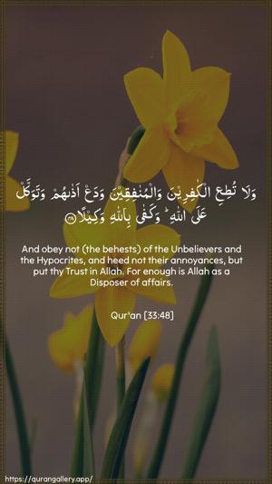 Al-Ahzaab Ayah 48 - Arabic + English wallpaper