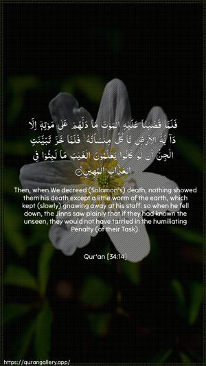 Saba Ayah 14 - Arabic + English wallpaper