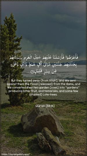 Saba Ayah 16 - Arabic + English wallpaper
