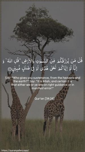 Saba Ayah 24 - Arabic + English wallpaper