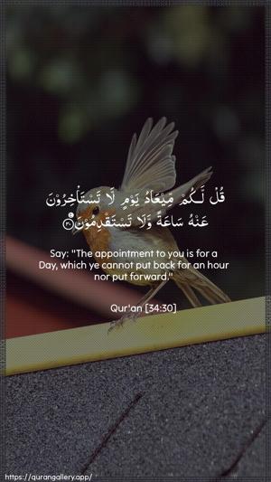 Saba Ayah 30 - Arabic + English wallpaper