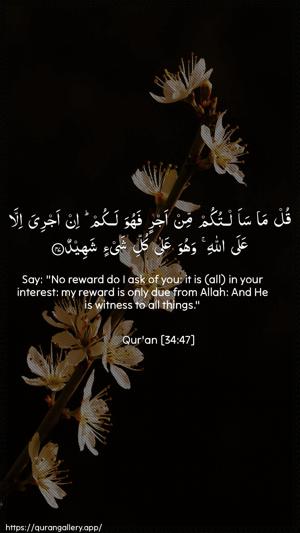 Saba Ayah 47 - Arabic + English wallpaper