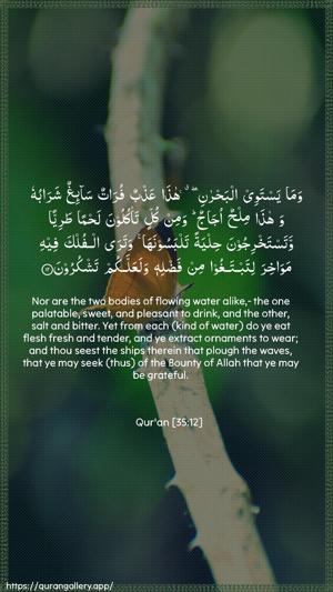 Faatir Ayah 12 - Arabic + English wallpaper