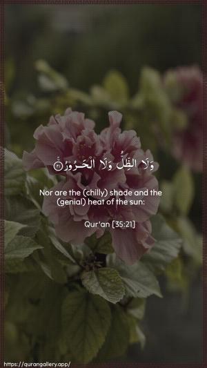 Faatir Ayah 21 - Arabic + English wallpaper