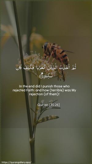 Faatir Ayah 26 - Arabic + English wallpaper