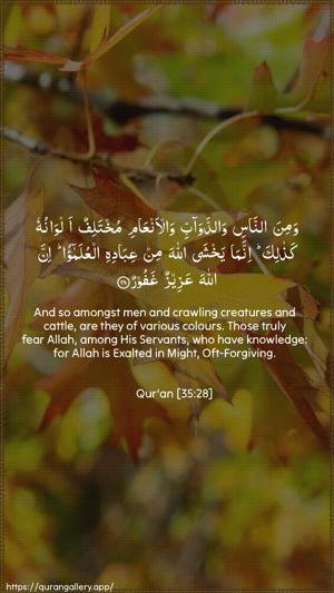Faatir Ayah 28 - Arabic + English wallpaper