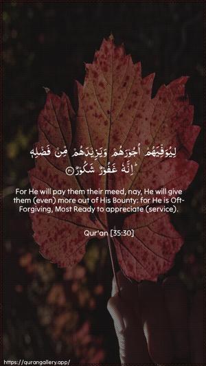 Faatir Ayah 30 - Arabic + English wallpaper