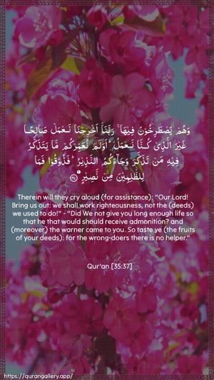 Faatir Ayah 37 - Arabic + English wallpaper