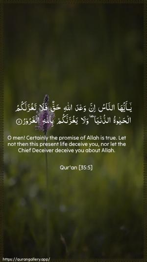 Faatir Ayah 5 - Arabic + English wallpaper