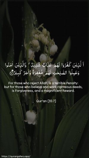 Faatir Ayah 7 - Arabic + English wallpaper
