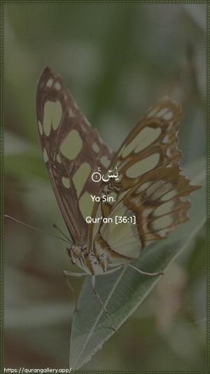 Yaseen Ayah 1 - Arabic + English wallpaper
