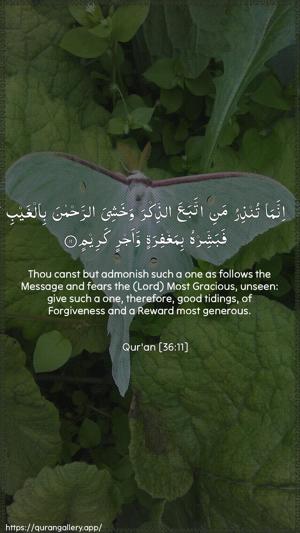Yaseen Ayah 11 - Arabic + English wallpaper