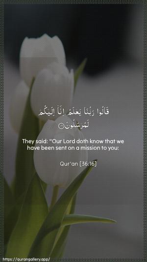 Yaseen Ayah 16 - Arabic + English wallpaper
