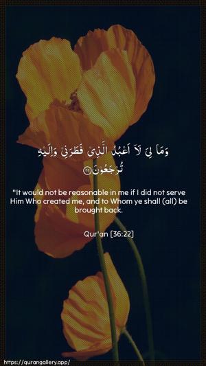 Yaseen Ayah 22 - Arabic + English wallpaper