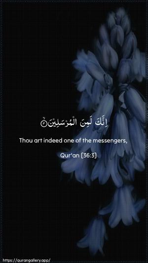 Yaseen Ayah 3 - Arabic + English wallpaper