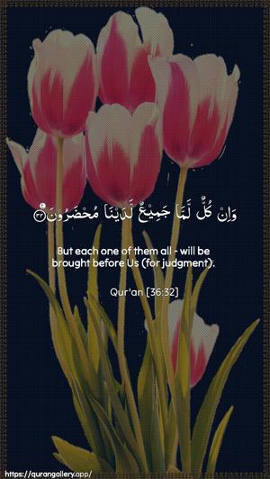 Yaseen Ayah 32 - Arabic + English wallpaper