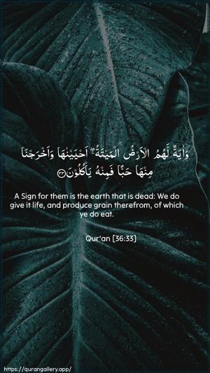 Yaseen Ayah 33 - Arabic + English wallpaper