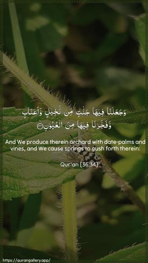 Yaseen Ayah 34 - Arabic + English wallpaper