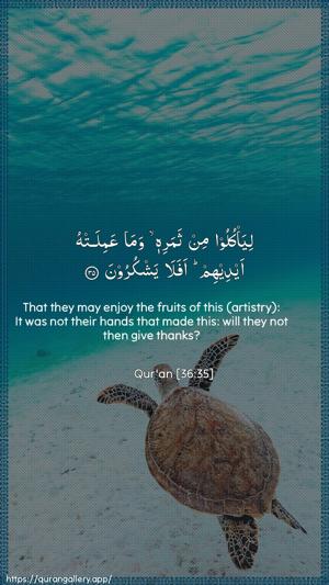 Yaseen Ayah 35 - Arabic + English wallpaper