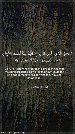 Yaseen Ayah 36 - Arabic + English wallpaper