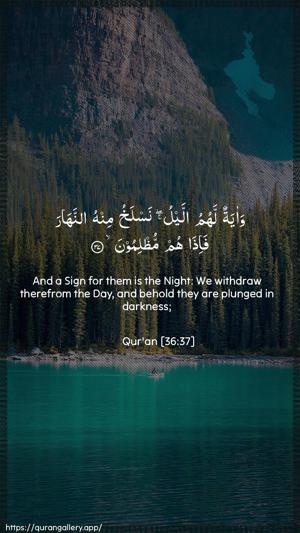 Yaseen Ayah 37 - Arabic + English wallpaper