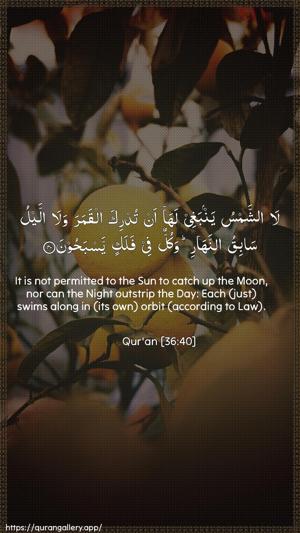 Yaseen Ayah 40 - Arabic + English wallpaper