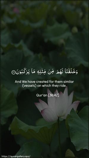 Yaseen Ayah 42 - Arabic + English wallpaper