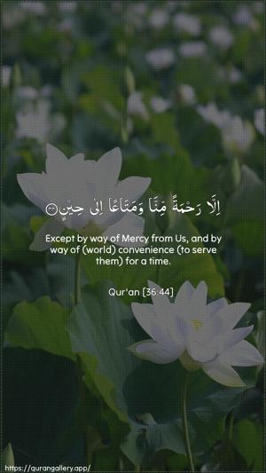 Yaseen Ayah 44 - Arabic + English wallpaper