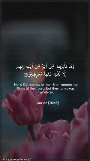 Yaseen Ayah 46 - Arabic + English wallpaper