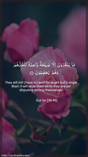 Yaseen Ayah 49 - Arabic + English wallpaper