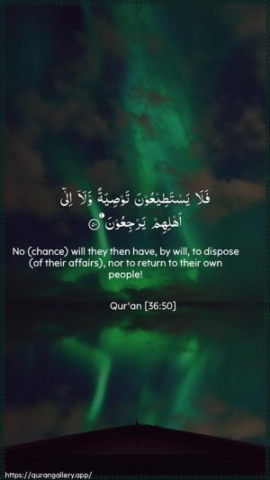 Yaseen Ayah 50 - Arabic + English wallpaper