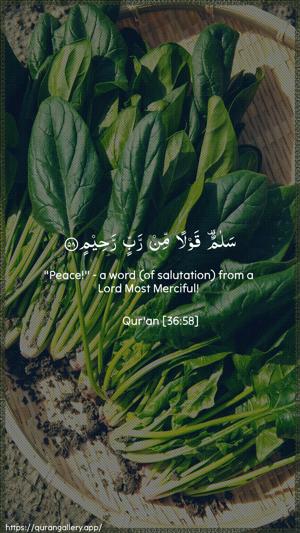 Yaseen Ayah 58 - Arabic + English wallpaper