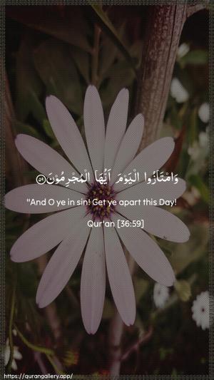 Yaseen Ayah 59 - Arabic + English wallpaper