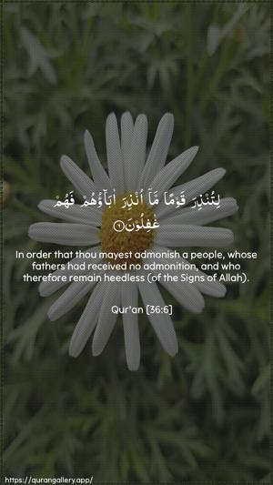 Yaseen Ayah 6 - Arabic + English wallpaper