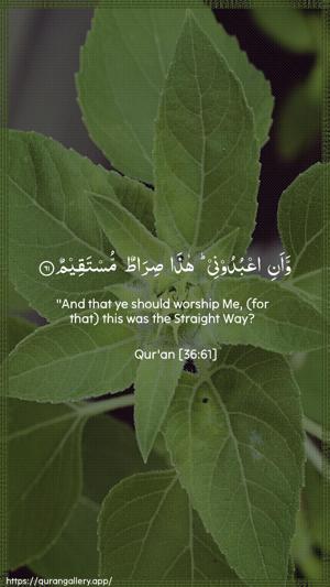 Yaseen Ayah 61 - Arabic + English wallpaper