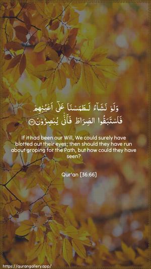 Yaseen Ayah 66 - Arabic + English wallpaper
