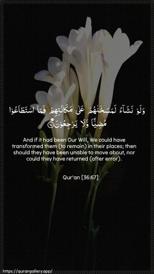 Yaseen Ayah 67 - Arabic + English wallpaper