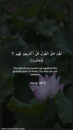 Yaseen Ayah 7 - Arabic + English wallpaper