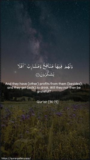 Yaseen Ayah 73 - Arabic + English wallpaper