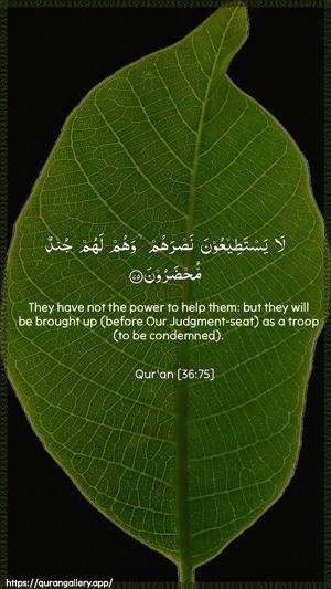 Yaseen Ayah 75 - Arabic + English wallpaper