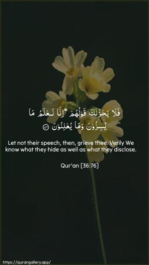 Yaseen Ayah 76 - Arabic + English wallpaper
