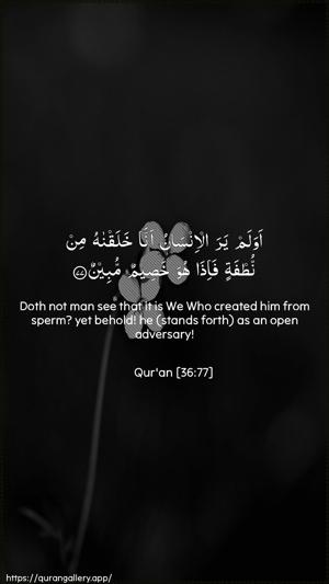Yaseen Ayah 77 - Arabic + English wallpaper