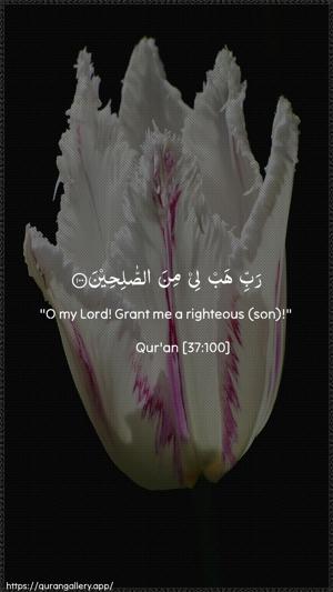 As-Saaffaat Ayah 100 - Arabic + English wallpaper