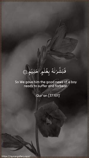 As-Saaffaat Ayah 101 - Arabic + English wallpaper