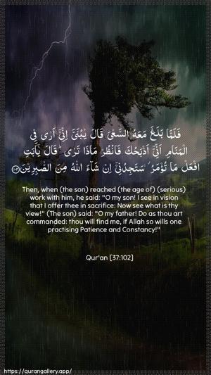 As-Saaffaat Ayah 102 - Arabic + English wallpaper