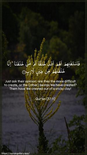 As-Saaffaat Ayah 11 - Arabic + English wallpaper