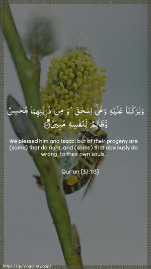 As-Saaffaat Ayah 113 - Arabic + English wallpaper